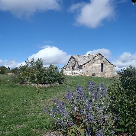 Saint-Rome-de-DolanChapelle Du Domaine De Bombes别墅 外观 照片